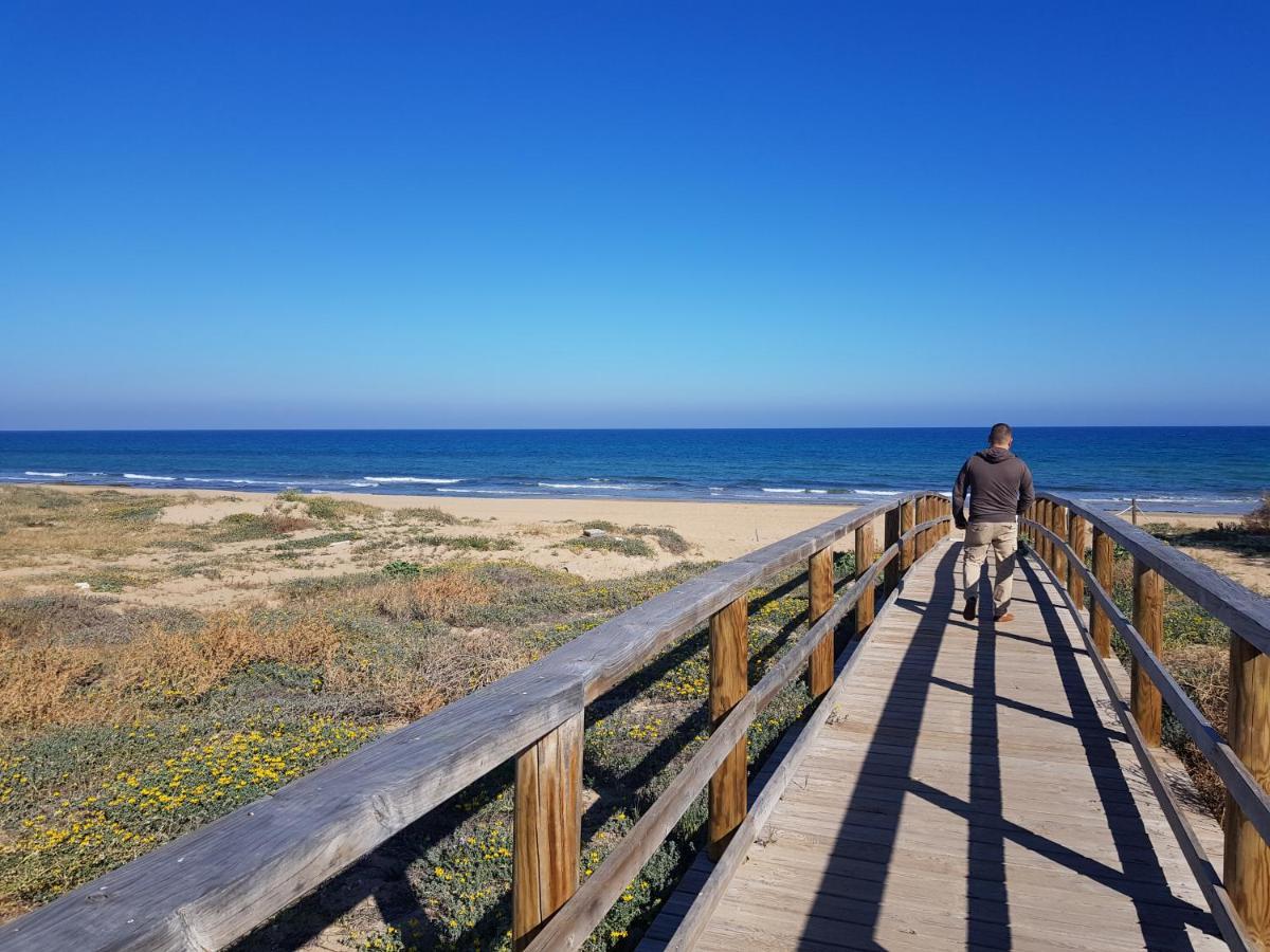 Lovely Apartment Near The Beach In Sunny La Mata Торевиеха Екстериор снимка